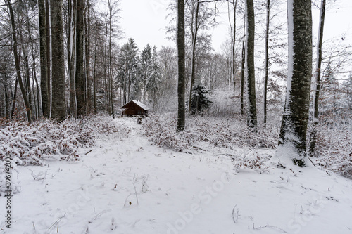 Wallpaper Mural Winter hike in snow from Wilhelmsdorf on the Hoechsten on Lake Constance Torontodigital.ca