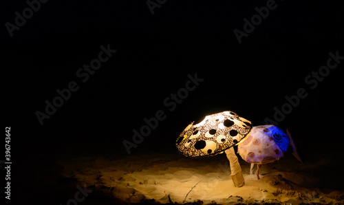 Lamp in the form of a mushroom on the beach at night