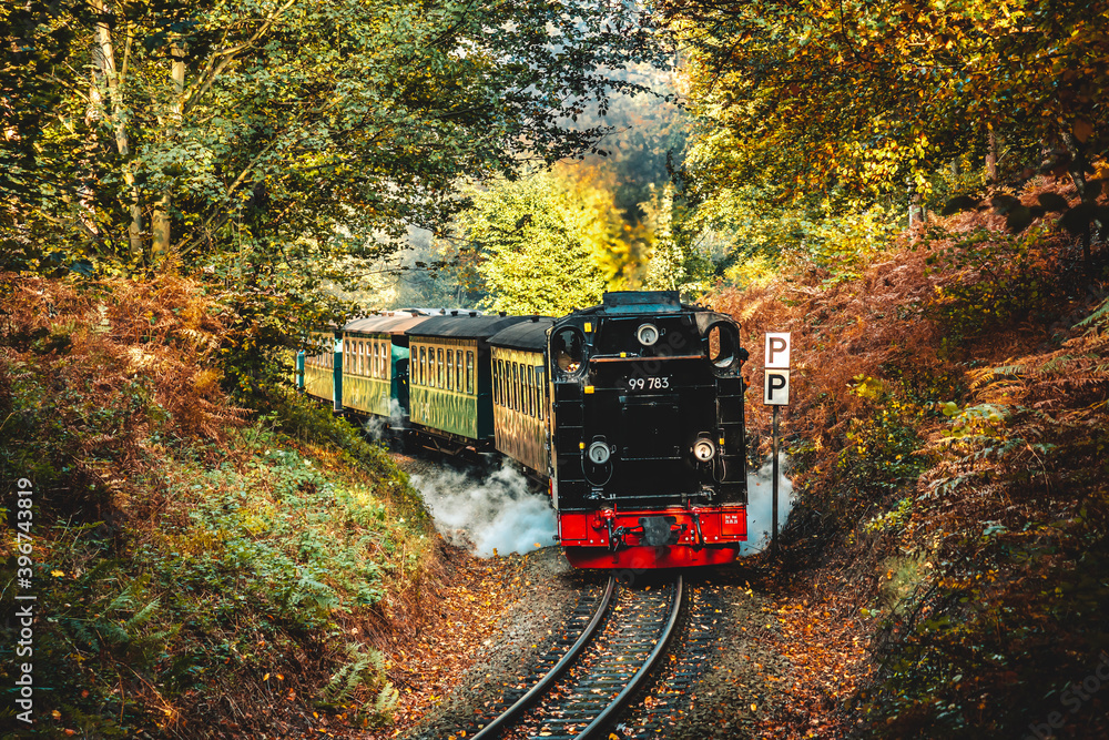 Dampflok Eisenbahn Rasender Roland, die Rügensche Bäderbahn bzw ...