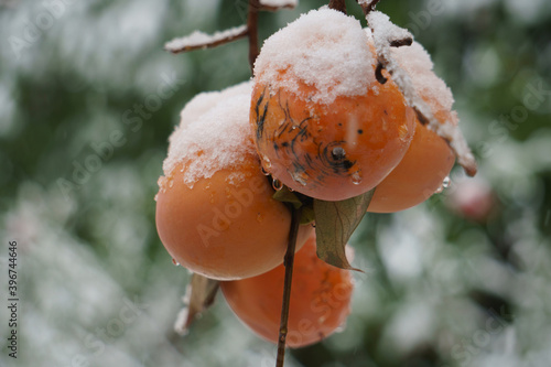 Obraz na płótnie Cachi con neve w salonie