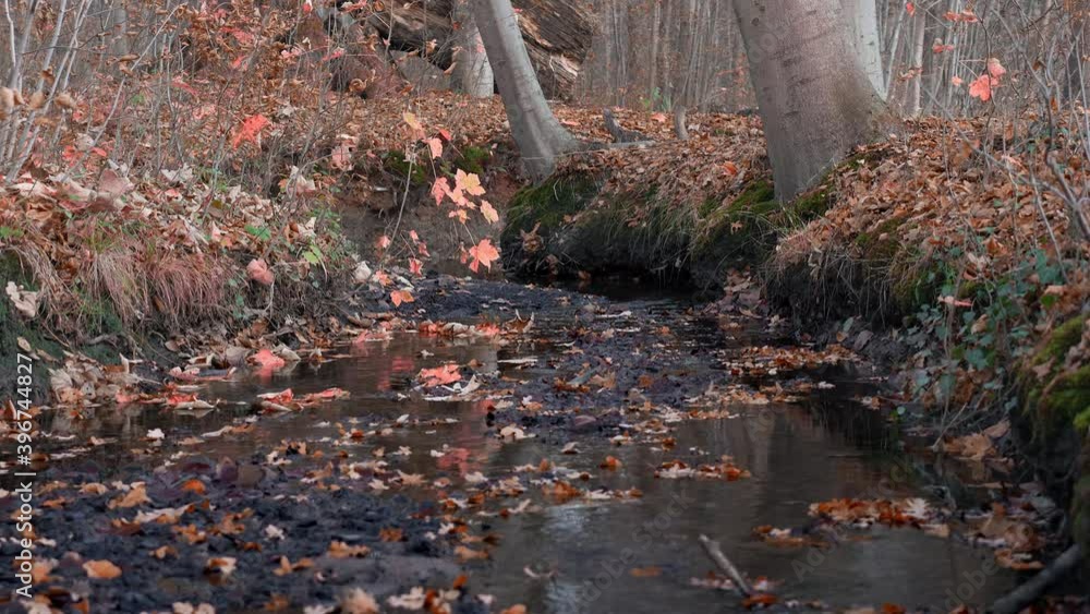 Forest river in the fall. Brook in the autumn forest. Forest river in the fall. Brook in the autumn forest.