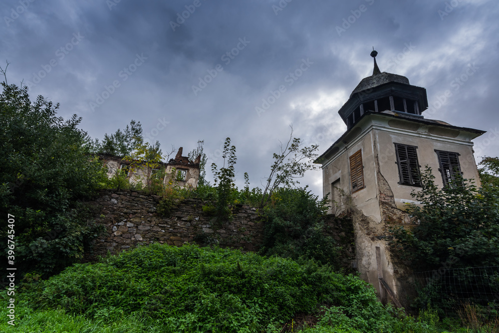 wald and tower from a old abandoned castle wald and tower from a old abandoned castle