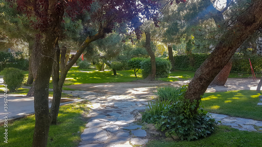 Path inside a park full of trees Path inside a park full of trees
