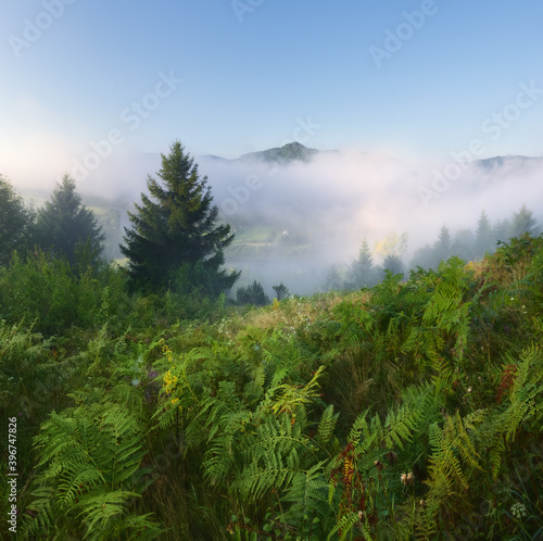 Mists of Carpathian © ivan_maljarenko