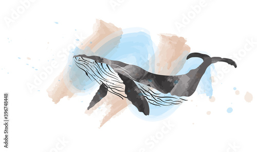 Hand drawn whale with splash texture. Grange whale illustration. Paint