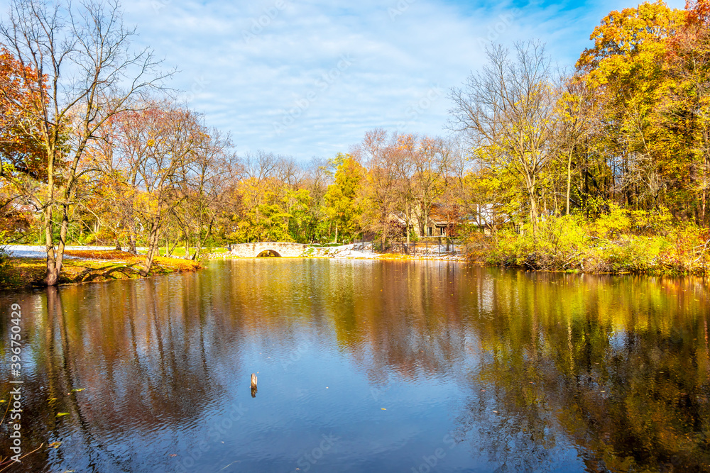 Delnor Woods Park view with autumn colours in Illinois
Delnor Woods Park view with autumn colours in Illinois