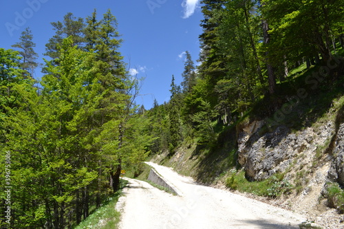 Glauchau, Ulm, Dillingen,Allgäu, Österreich