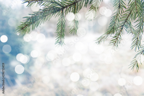 Abstract winter Christmas background with snow, fir branches and lights. Beautiful soft atmospheric natural background in pastel light colors. Xmas with tender bokeh