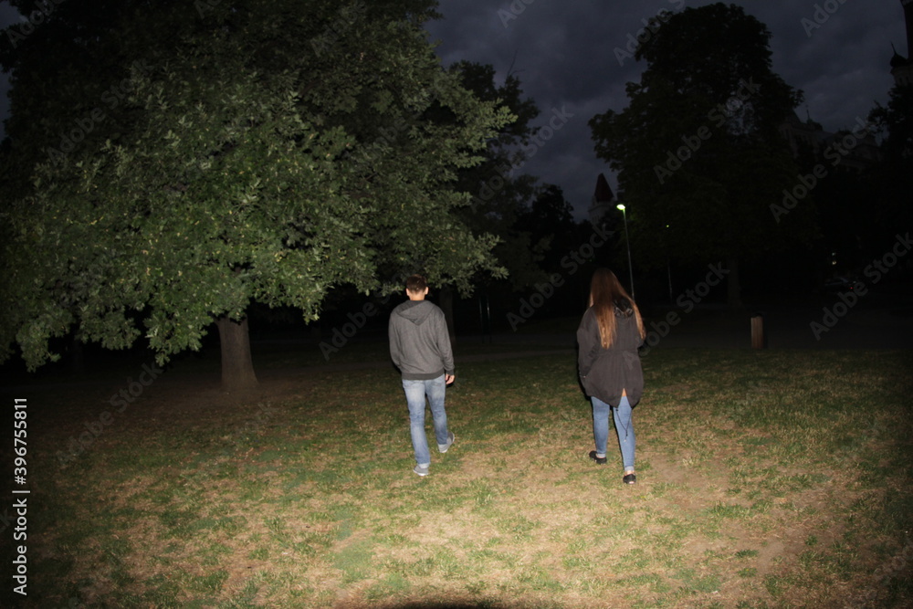 Fototapeta premium couple walking in the park