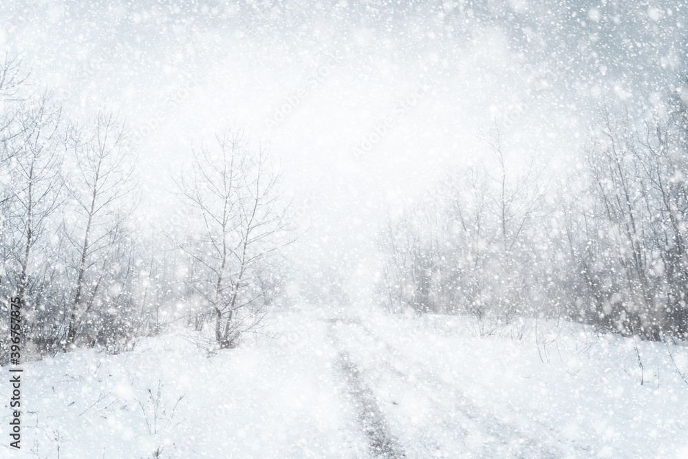 Obraz premium Winter wonderland. Winter snowfall picturesque landscape with the rural road through the snowy copse.