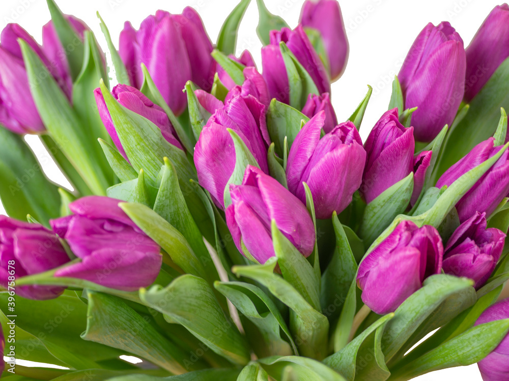 Bouquet of yellow tulips