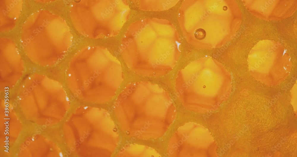 Honey comb macro Honey, apiary. 4K Honey comb macro Honey, apiary. 4K