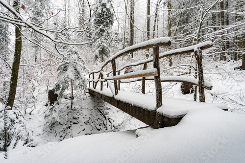 Winter hike in snow from Wilhelmsdorf on the Hoechsten on Lake Constance photo