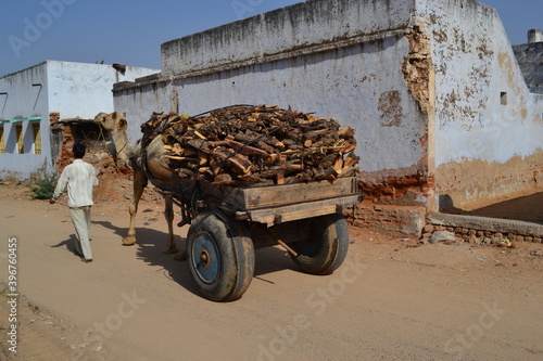  india, rajasdan, 2011, cathedral, monuments, buildings, burg, architektur, europa, spanien, bauwerk, mediävistisch, dorf, alt, pueblo, stadt, landschaft, kirche, himmel, italien, hills, anreisen, pit