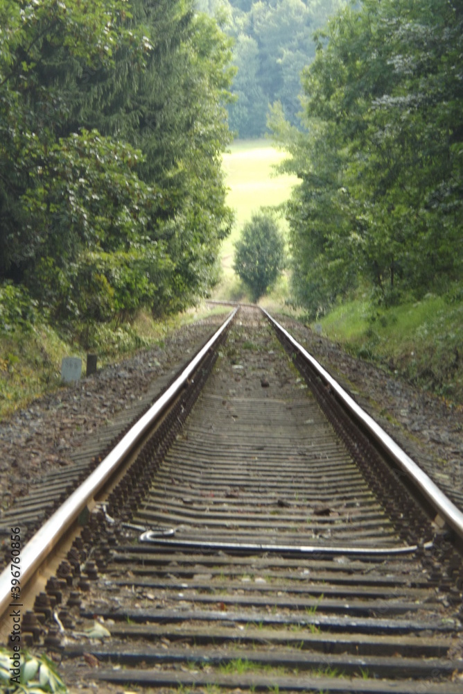 railroad tracks in the forest