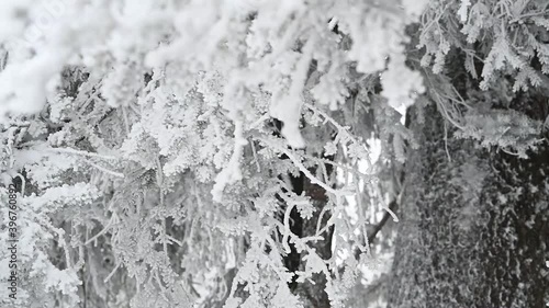 tiefverschneite winterlandschaft mit fokus auf detail von schneekristallen in full hd slowmotion 60fps photo