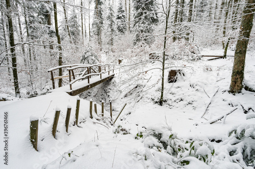Wallpaper Mural Winter hike in snow from Wilhelmsdorf on the Hoechsten on Lake Constance Torontodigital.ca
