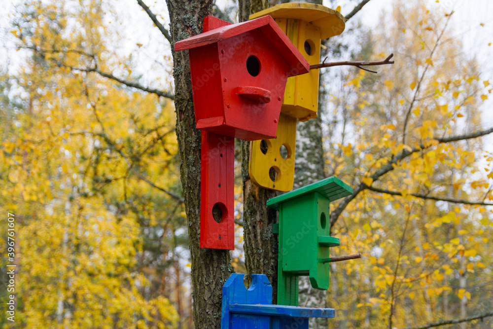 Group of wooden birdhouses on a tree in the autumn park. Bird feeder. A house for the birds.