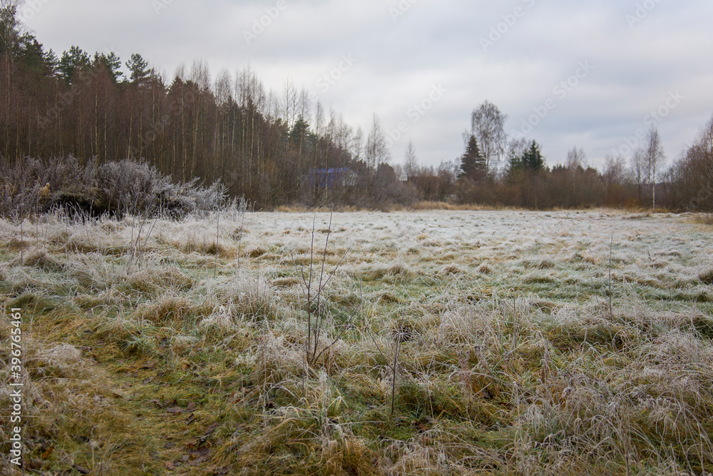 Froze lush green grass with ice crystals on natural blurry background. Autumn forest on horizon. Natural landscape in winter. Close-up, copy space Froze lush green grass with ice crystals on natural blurry background. Autumn forest on horizon. Natural landscape in winter. Close-up, copy space