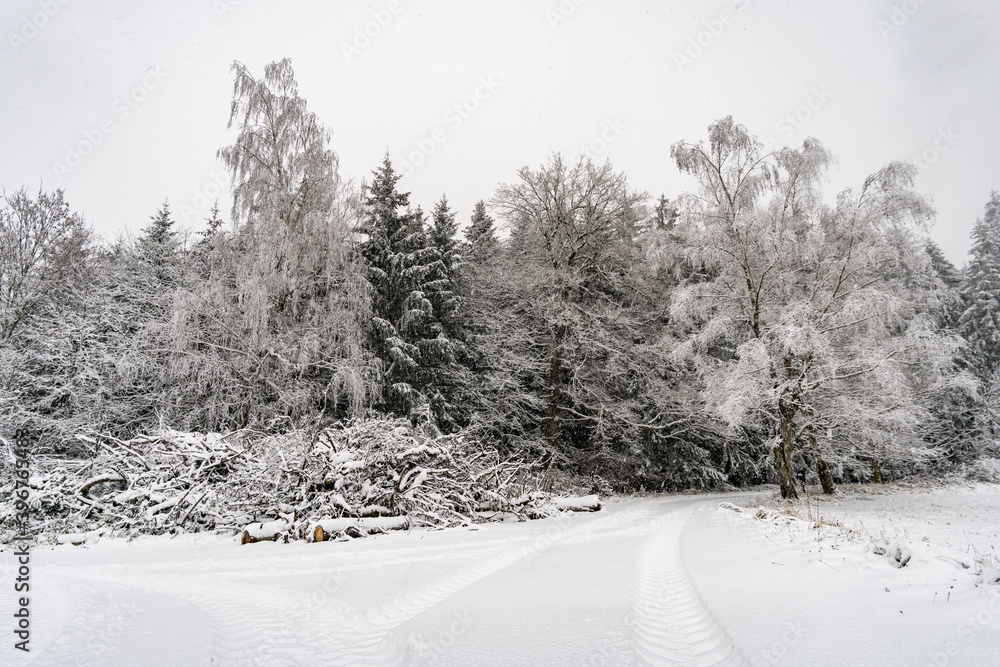 Obraz premium Winter hike in snow from Wilhelmsdorf on the Hoechsten on Lake Constance