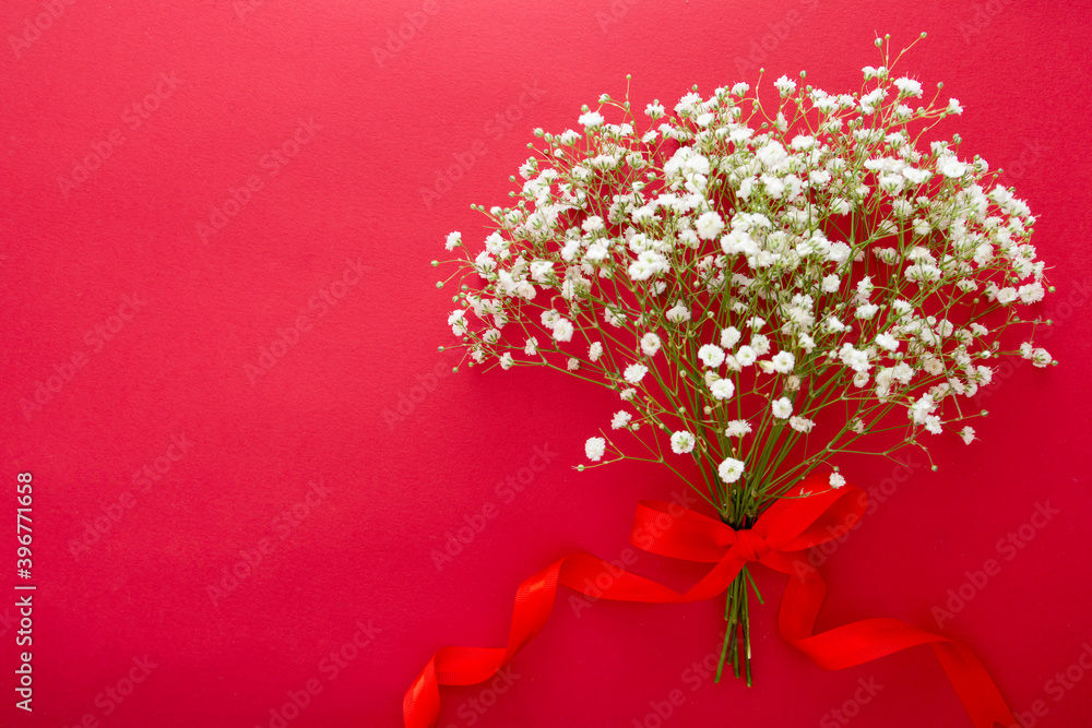 Gypsophila bouquet with red ribbon, isolated on red background. Copy space. Gypsophila bouquet with red ribbon, isolated on red background. Copy space.
