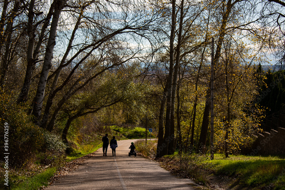familia paseando por el bosque en mitad de una carretera