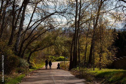 familia paseando por el bosque en mitad de una carretera