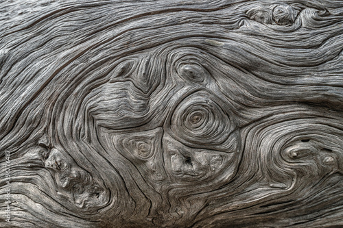 Full-screen texture of the twisted fibrous trunk of a dead juniper tree