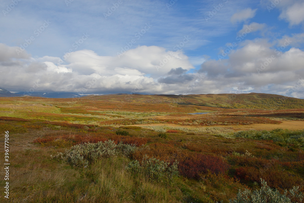 	
Auf der Wildnisstraße (schwedisch Vildmarksvägen) entlang der Schwedisch-norwegischen Grenze	
