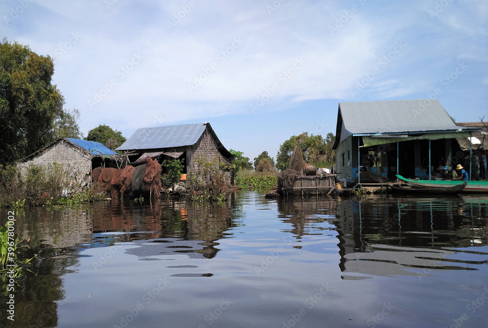 Obraz premium Tonle Sap Lake in Siem Reap, Cambodia