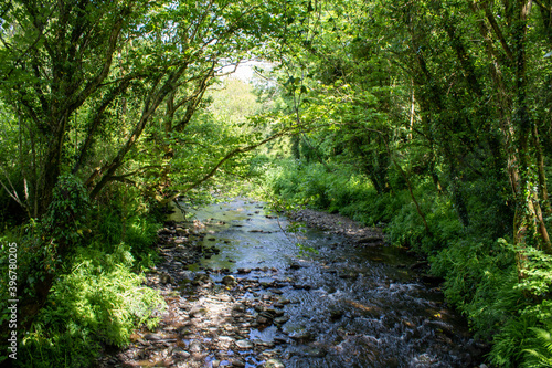 Quiet summer stream near the Top of the Rock Pod Páirc and Walking Centre in Drimoleague west Cork Ireland 