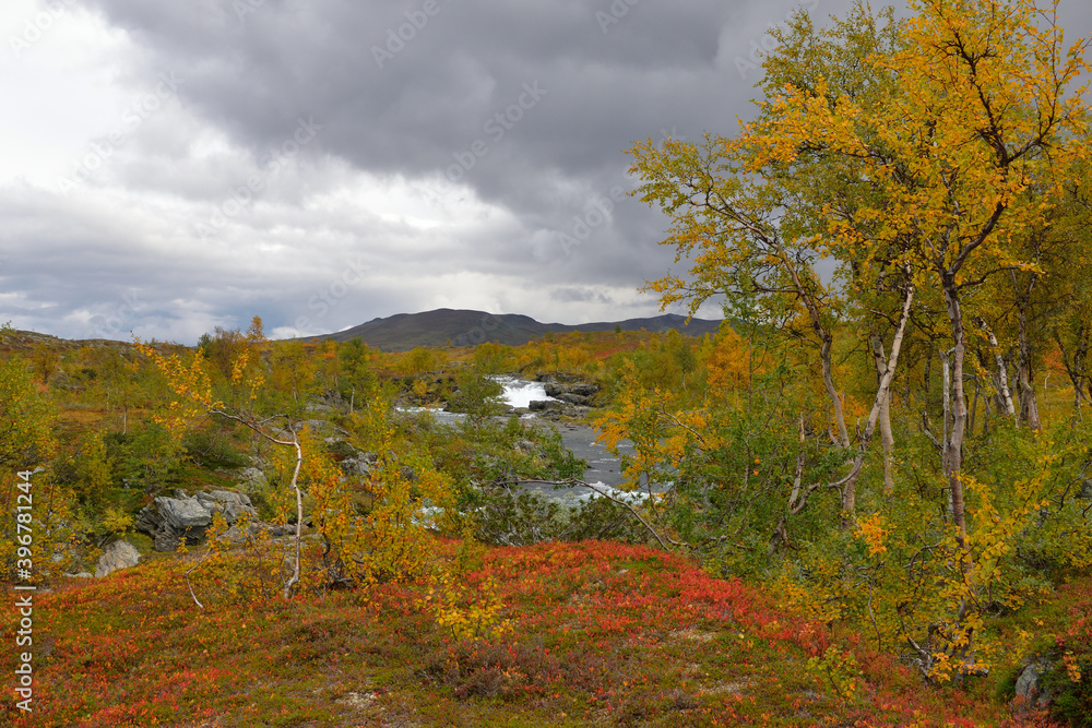 	
Auf der Wildnisstraße (schwedisch Vildmarksvägen) entlang der Schwedisch-norwegischen Grenze	
