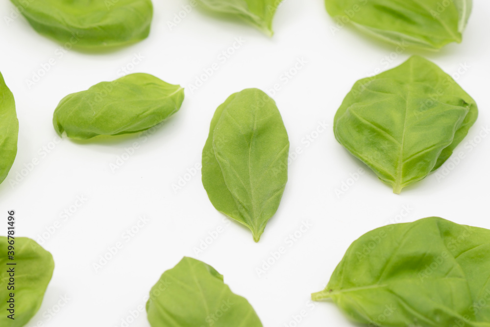 Basilico Basilico