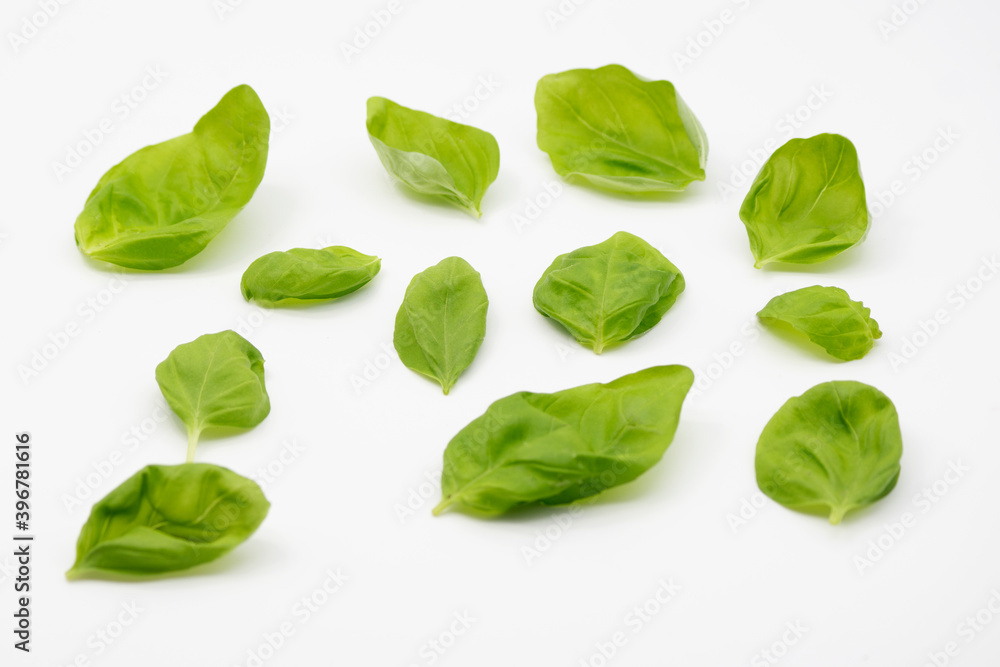 Basilico Basilico
