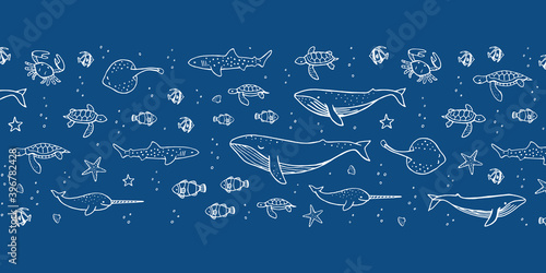 Hand drawn marine animals on blue background. Vector illustration