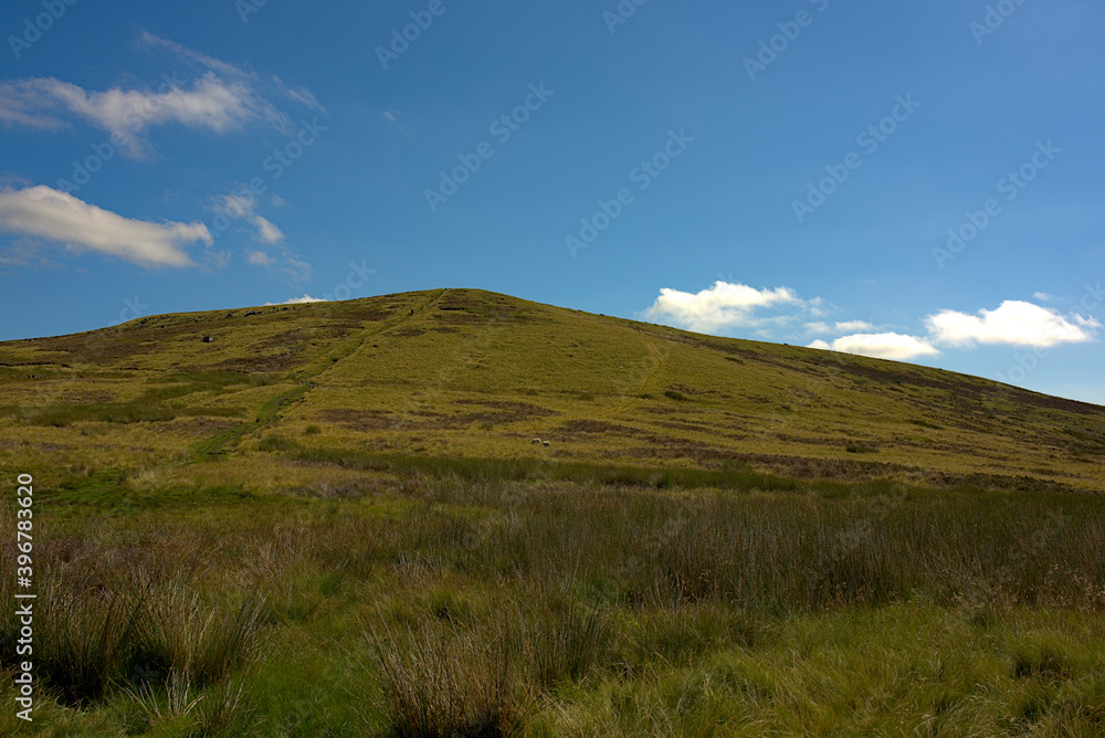 landscape in the summer