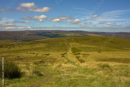 landscape of the hills