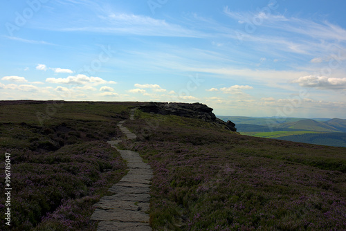 mountain stone slab next to a lavender field 