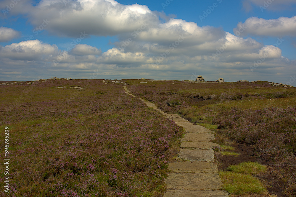 path to the sky