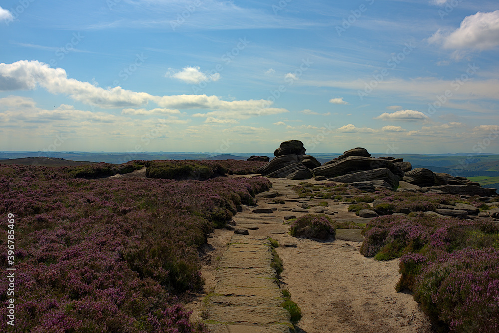 mountain stone slab next to a lavender field