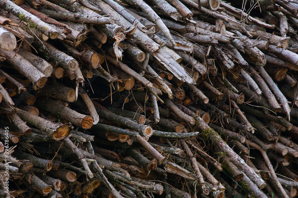 Holzstapel Brennholz Äste Herbst Struktur