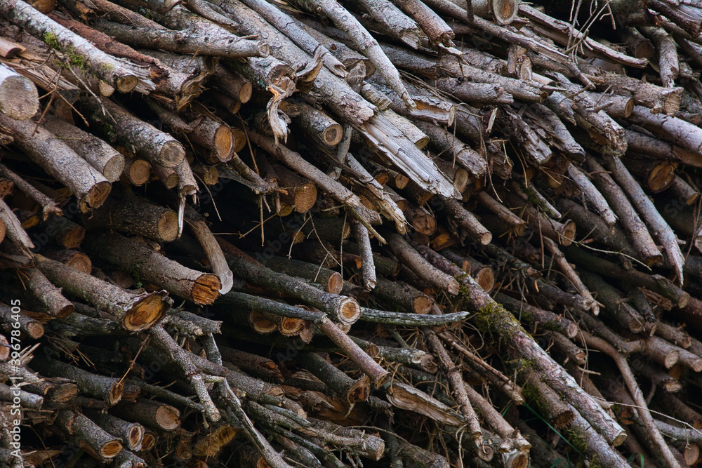 Holzstapel Brennholz Äste Herbst Struktur Holzstapel Brennholz Äste Herbst Struktur