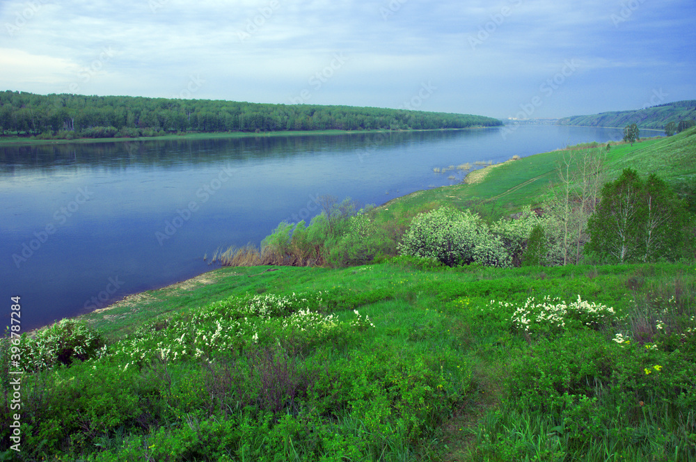 Summer wide-angle panorama of the river, the picturesque shore and the cloudy sky. Wide calm river distance with gentle green banks. Typical landscape of central Russia. Siberia.