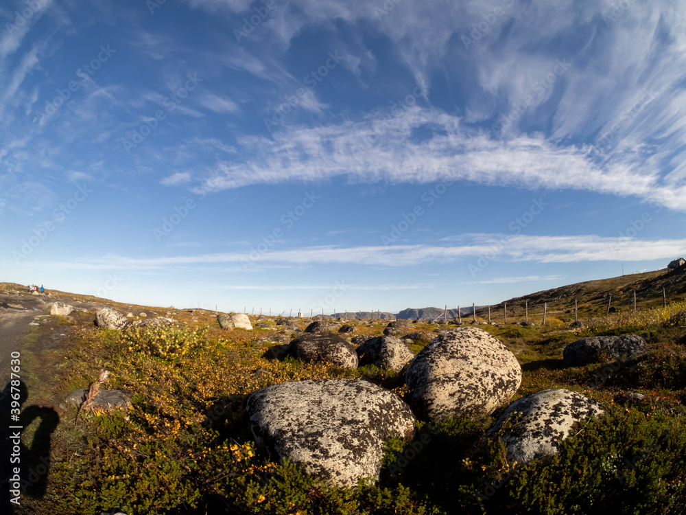 cold and beautiful tundra. Teriberka, Murmansk region, Russia. A lot of berries, a riot of colors. rocks and bright plants. moss . Landscape. Sunny weather, blue sky, wide-angle lens. lakes