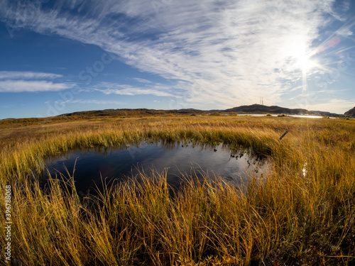 cold and beautiful tundra. Teriberka  Murmansk region  Russia. A lot of berries  a riot of colors. rocks and bright plants. moss . Landscape. Sunny weather  blue sky  wide-angle lens. lakes