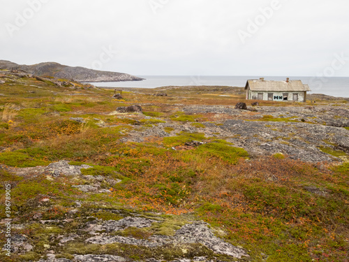 cold and beautiful tundra. Teriberka, Murmansk region, Russia. Lots of berries, low grasses and a riot of colors. Arctic ocean, rocks and colorful plants