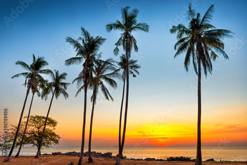Palm trees on sunset sea coast as paradise holiday summer nature background © Pavlo Vakhrushev