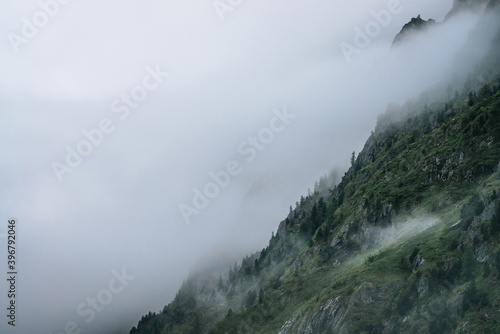 Ghostly foggy coniferous forest on rocky mountainside. Atmospheric view to big crags in dense fog. Low clouds among giant mountains with conifer trees. Minimalist dramatic scenery at early morning.