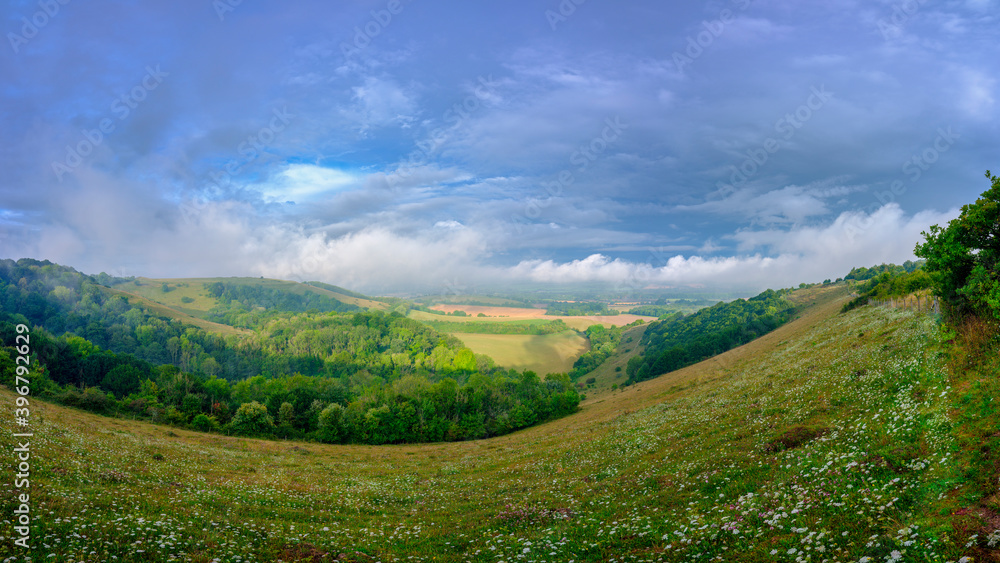 Mist morning in the Meon Valley, South Downs National Park