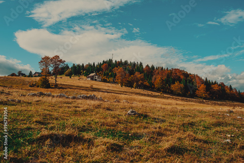 rural area of carpathian mountains in autumn. wonderful panorama of Bosnia mountains in dappled light observed from village. agricultural fields on rolling hills near the spruce forest